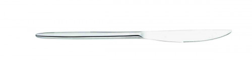 Couteau de table monobloc 24,5 cm Livio Pro.mundi