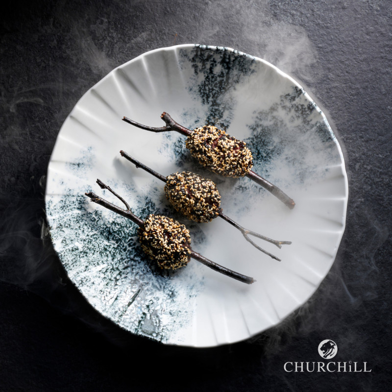 Assiette coupe creuse porcelaine vitrifiée Ø 27,1 cm Smoke Churchill